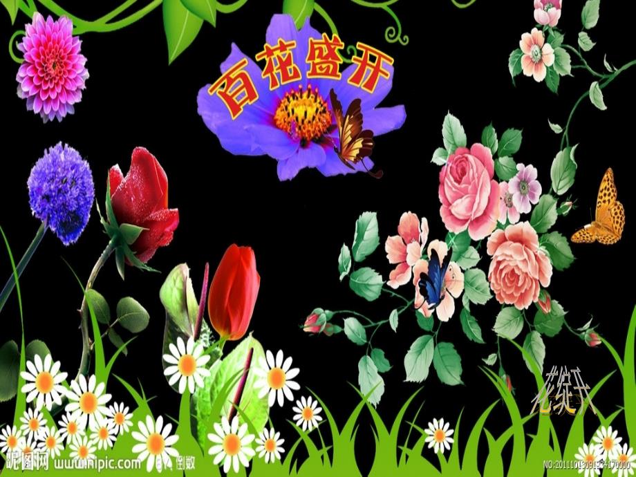 风雨后花儿绽放得更美丽_第1页