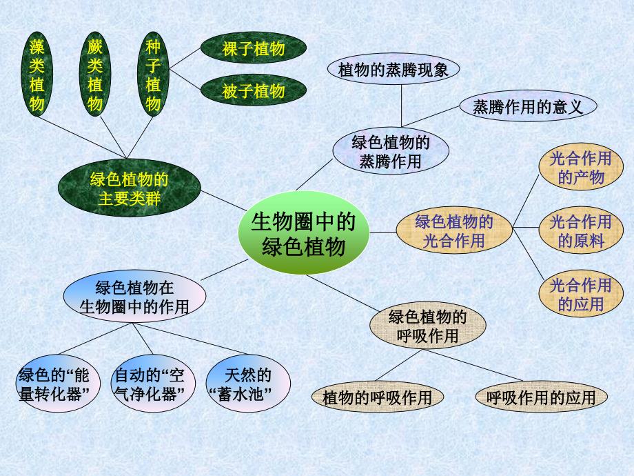 生物圈中的绿色植物-复习_第2页