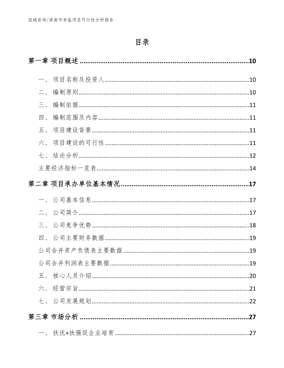 淮南市食盐项目可行性分析报告【参考范文】_第2页