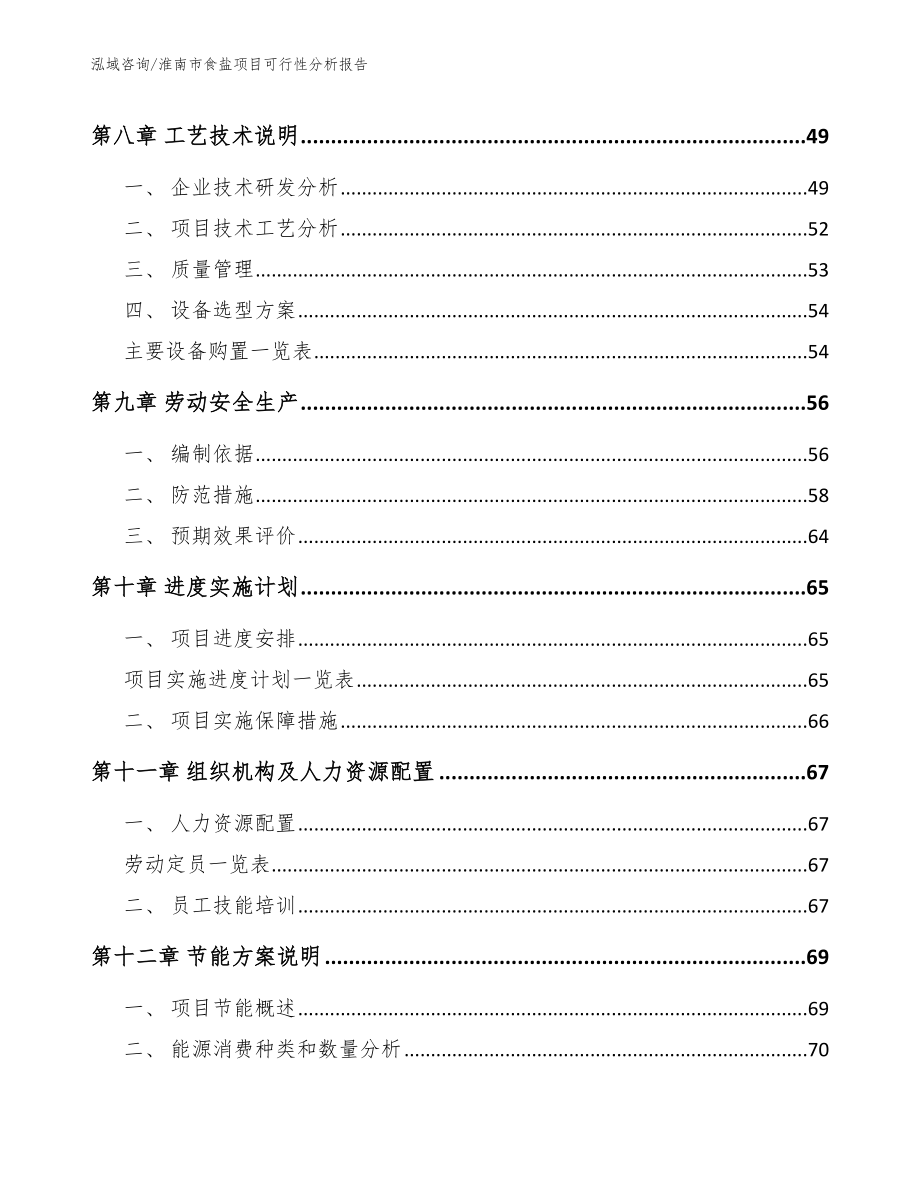淮南市食盐项目可行性分析报告【参考范文】_第4页