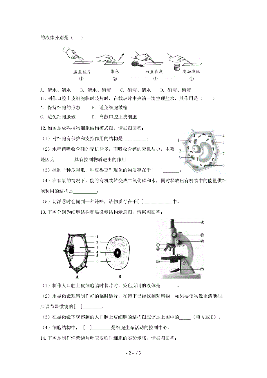 最新七年级生物下第7章第1节生物体的基本结构课件苏科版课件_第2页