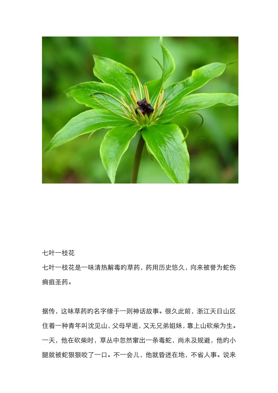 每一味中药背后都有一个美丽传说_第1页