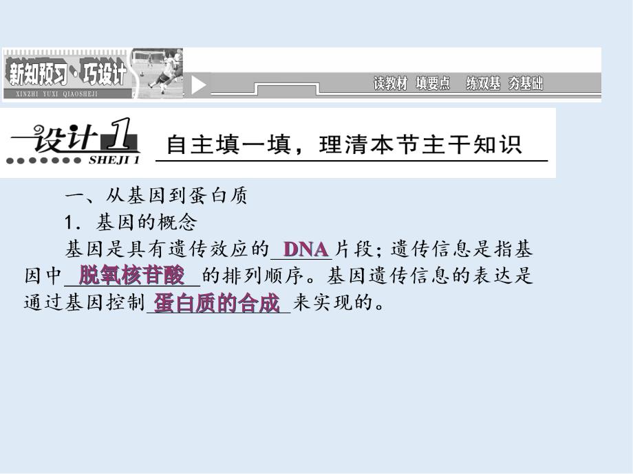 高一生物苏教版必修2课件：第四章 第三节 基因控制蛋白质的合成_第3页