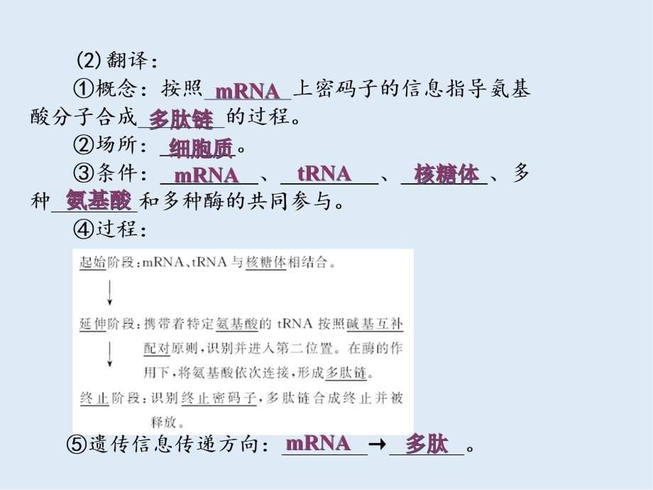 高一生物苏教版必修2课件：第四章 第三节 基因控制蛋白质的合成_第5页