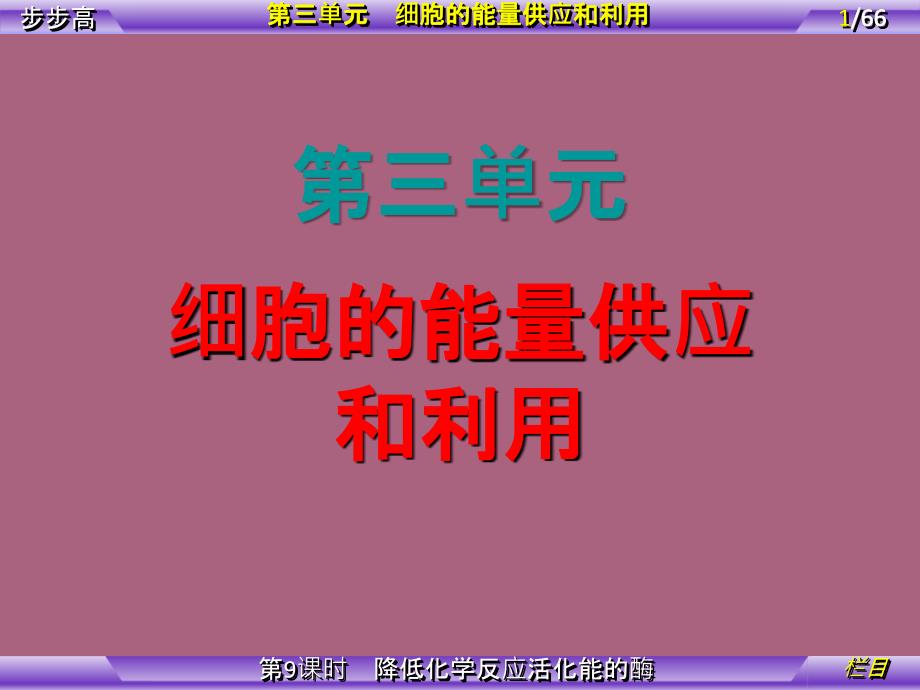 第单元第课时降低化学反应活化能的酶ppt课件_第1页