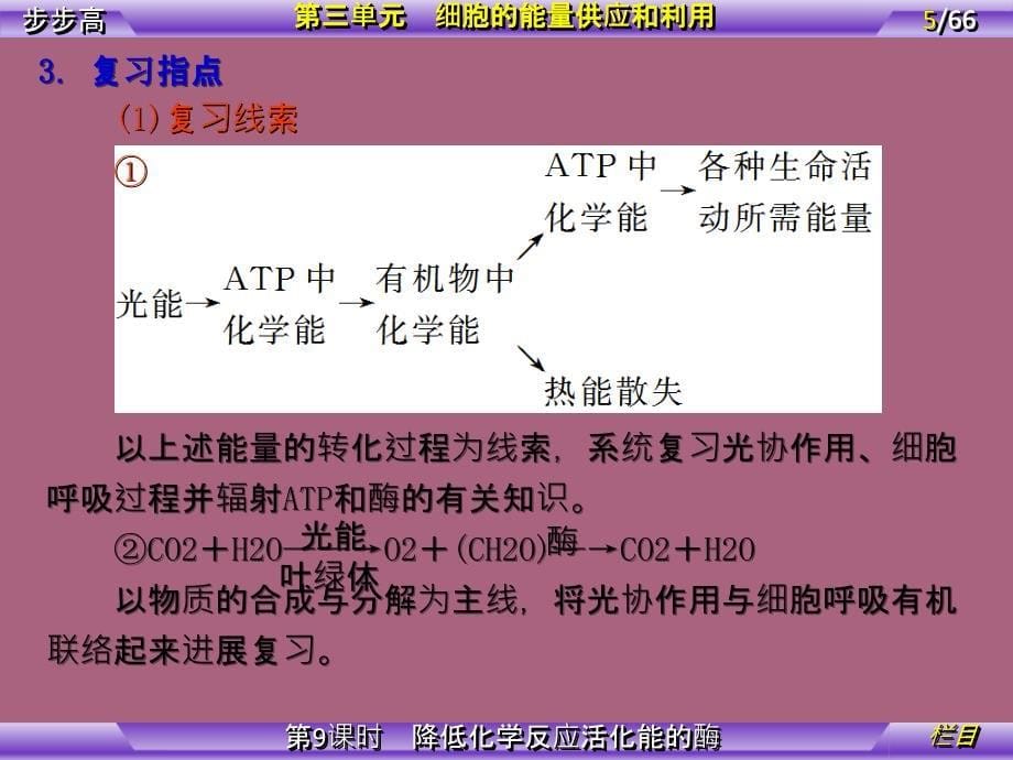 第单元第课时降低化学反应活化能的酶ppt课件_第5页