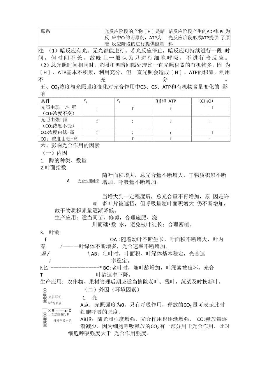 光合作用知识点汇总_第5页