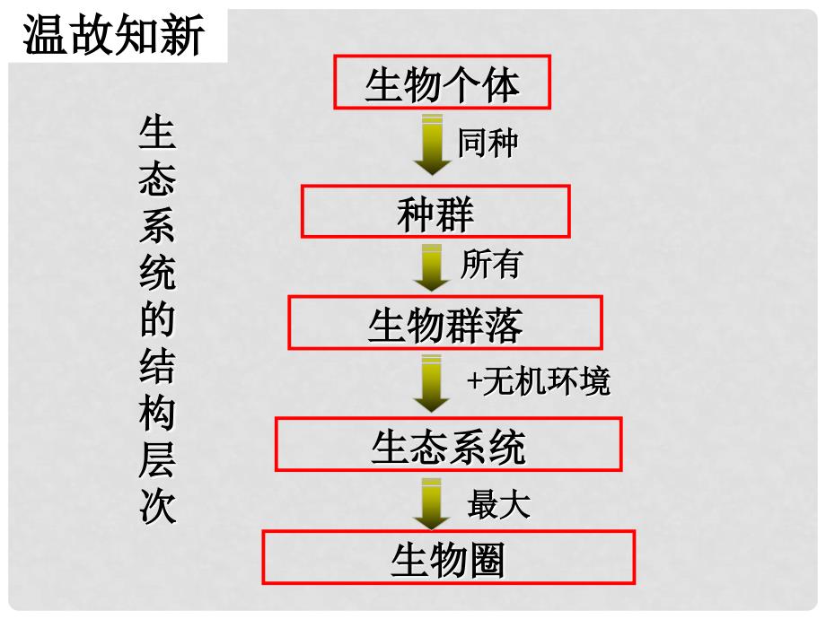 高中生物《第五章 第一节 生态系统的结构》课件2 新人教版必修3_第2页