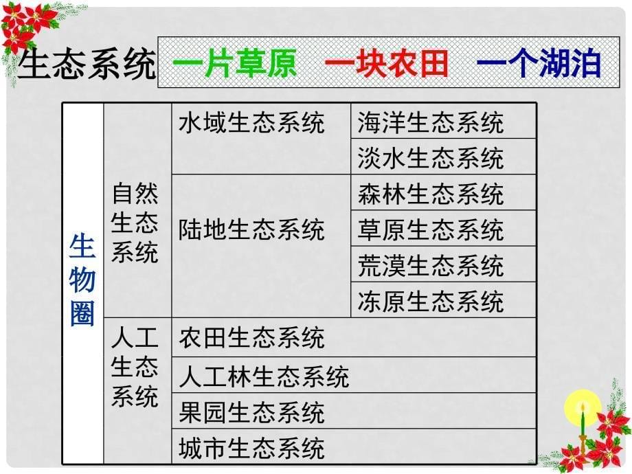 高中生物《第五章 第一节 生态系统的结构》课件2 新人教版必修3_第5页