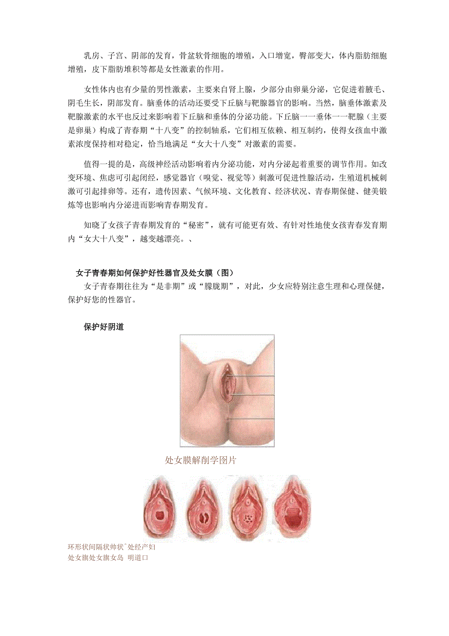 青春期女孩生理发育(图)_第3页