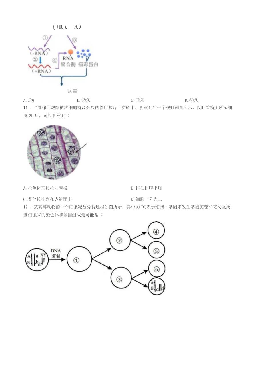 2022届上海市宝山区高三二模生物试题_第3页