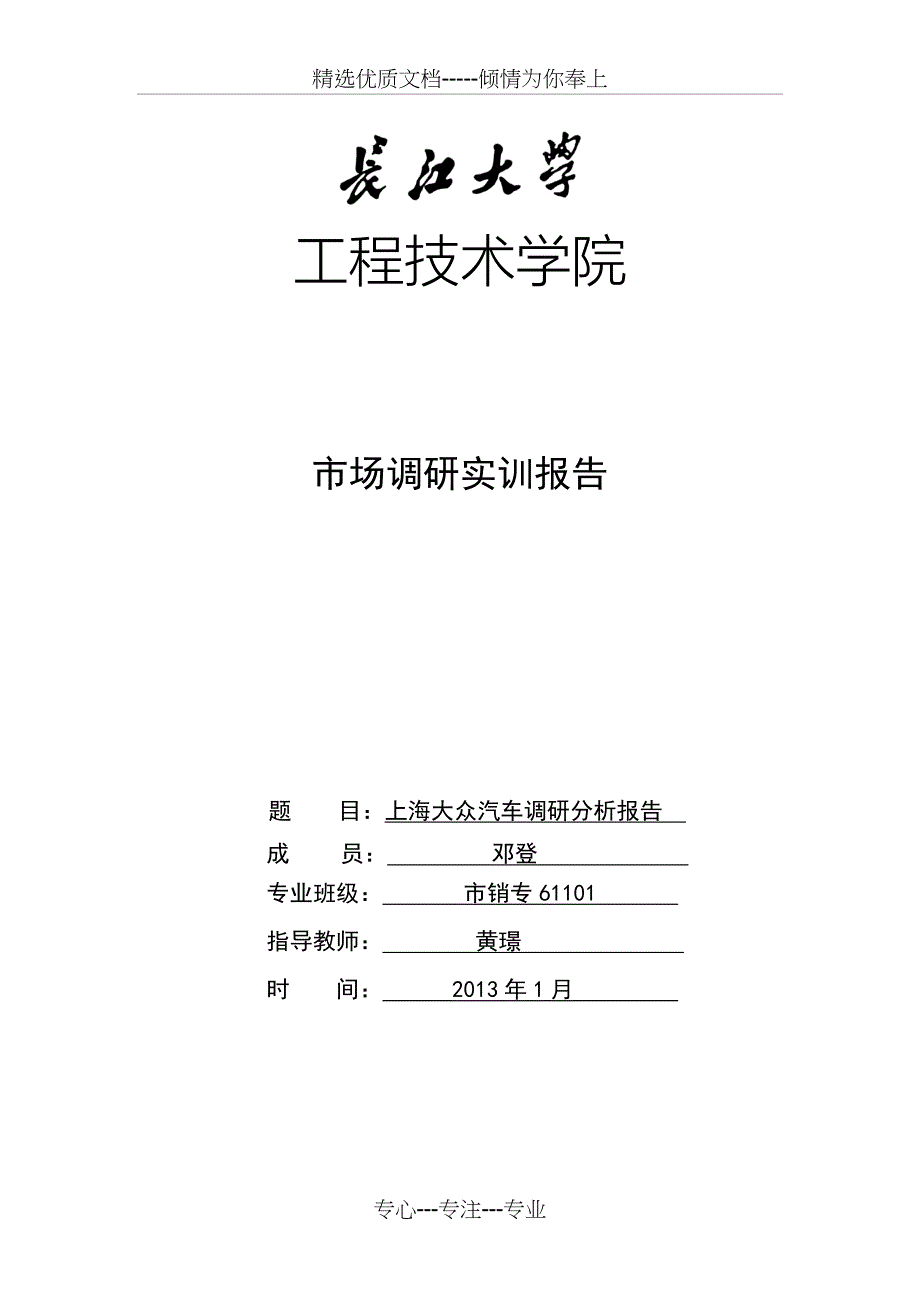 上海大众汽车调查报告_第1页
