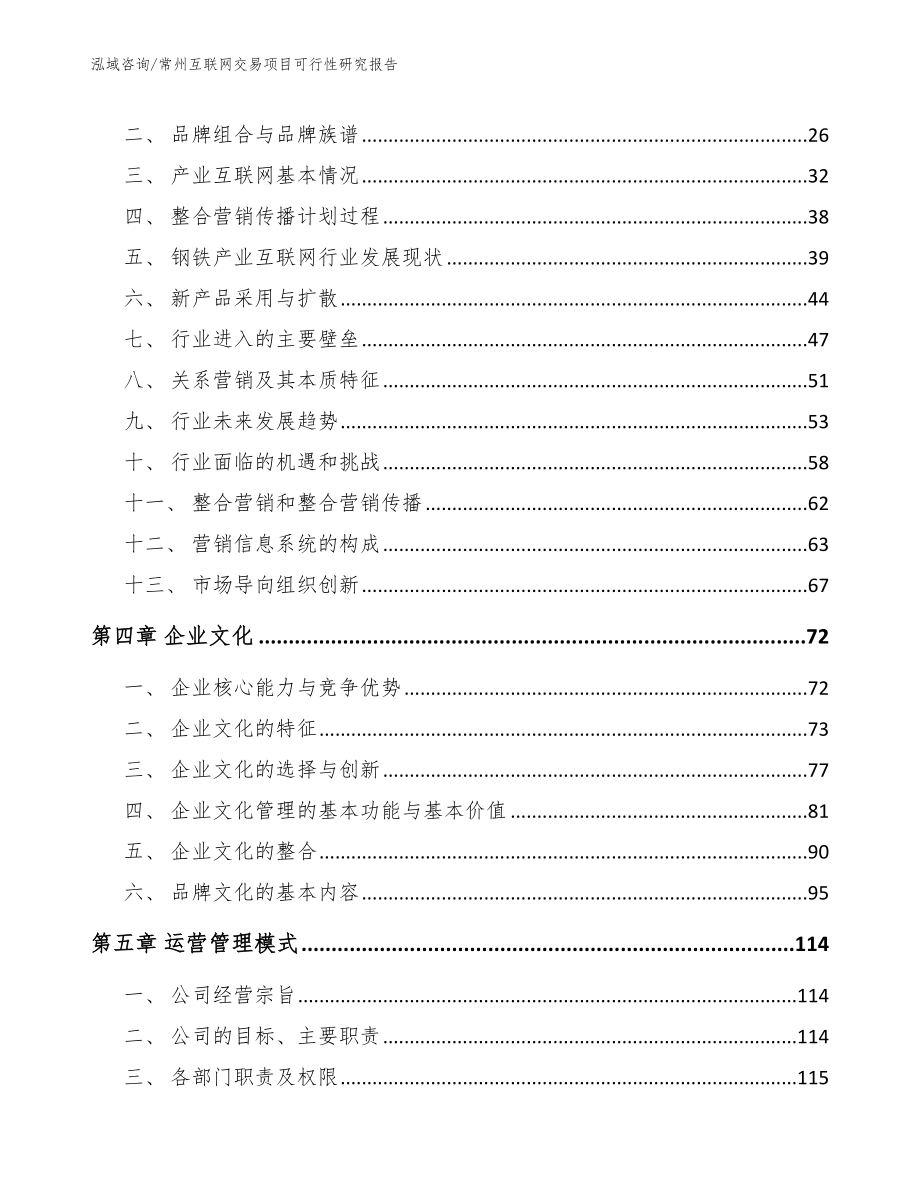 常州互联网交易项目可行性研究报告_第4页