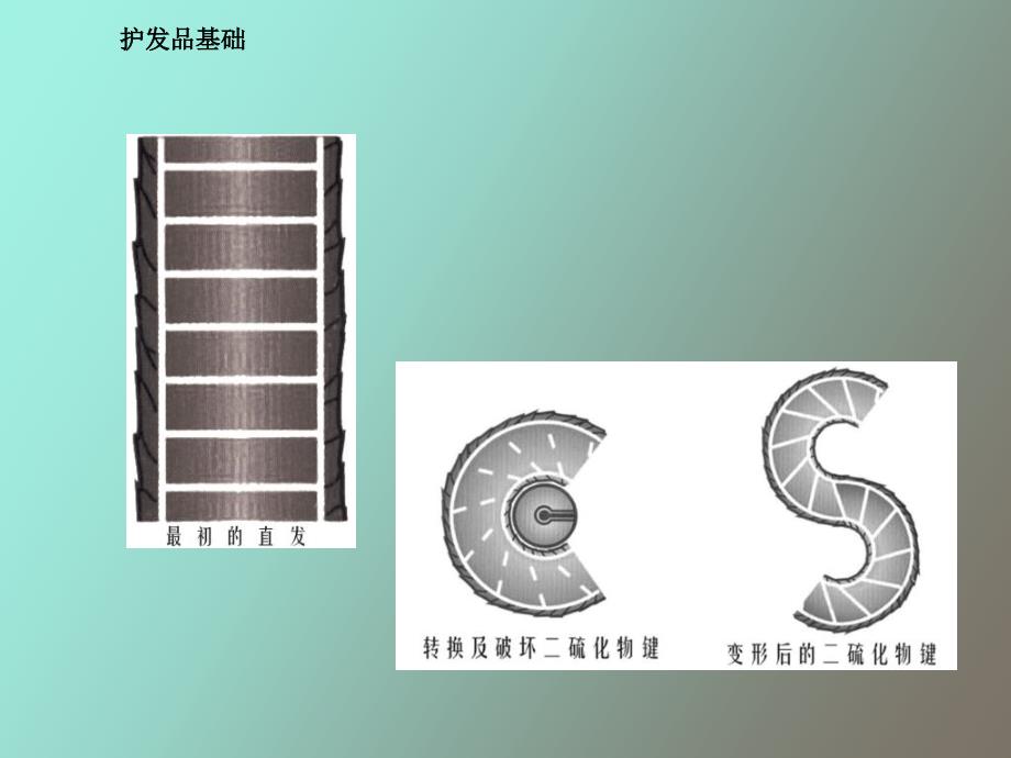 常用护发基础_第3页