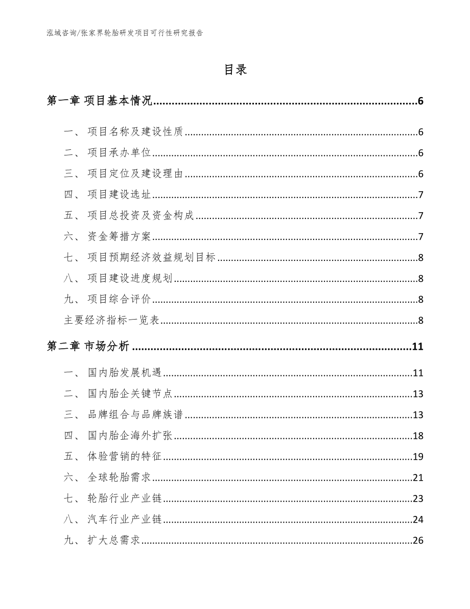 张家界轮胎研发项目可行性研究报告模板范文_第2页