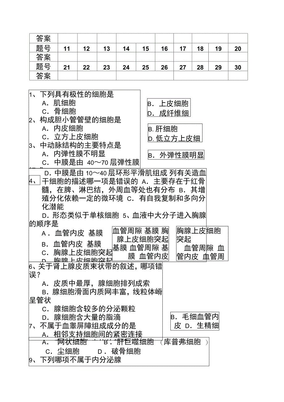 专升本临床医学组织学与胚胎学试题A_第2页