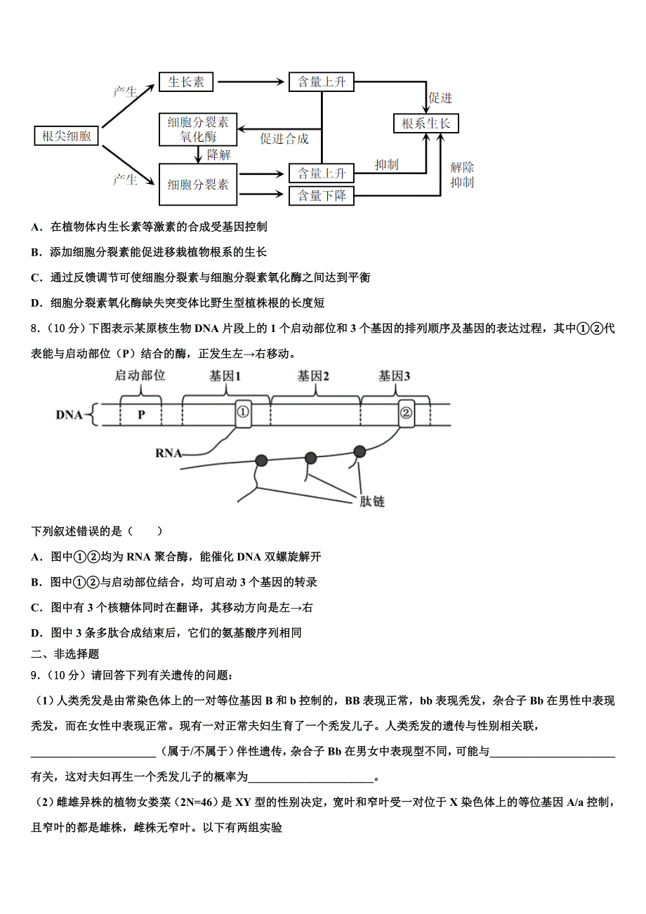 2023年重庆市开州区开州中学高三第五次模拟考试生物试卷（含答案解析）.doc_第3页