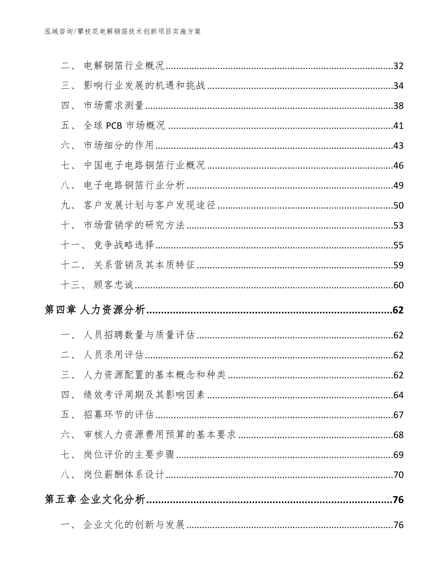 攀枝花电解铜箔技术创新项目实施方案_第2页