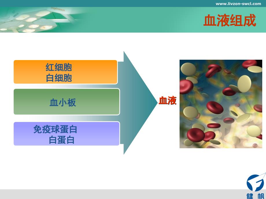 肝素及抗凝技术_第3页