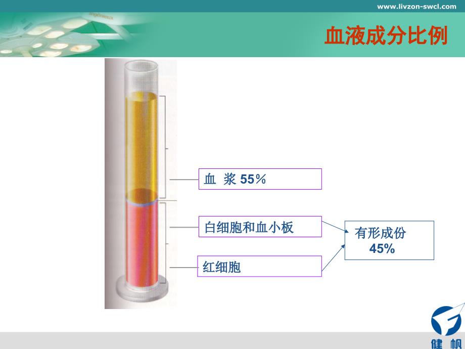 肝素及抗凝技术_第4页