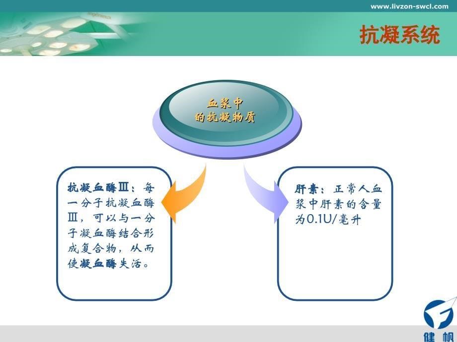 肝素及抗凝技术_第5页