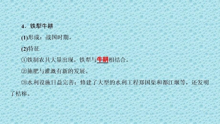 高中历史(北师大版)必修2第一单元同步教学ppt课件第1课--农业的主要耕作方式和土地制度_第5页