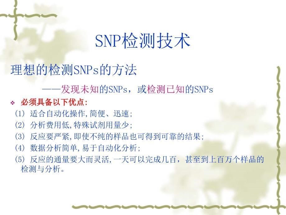 SNP检测方法共34页文档课件_第5页