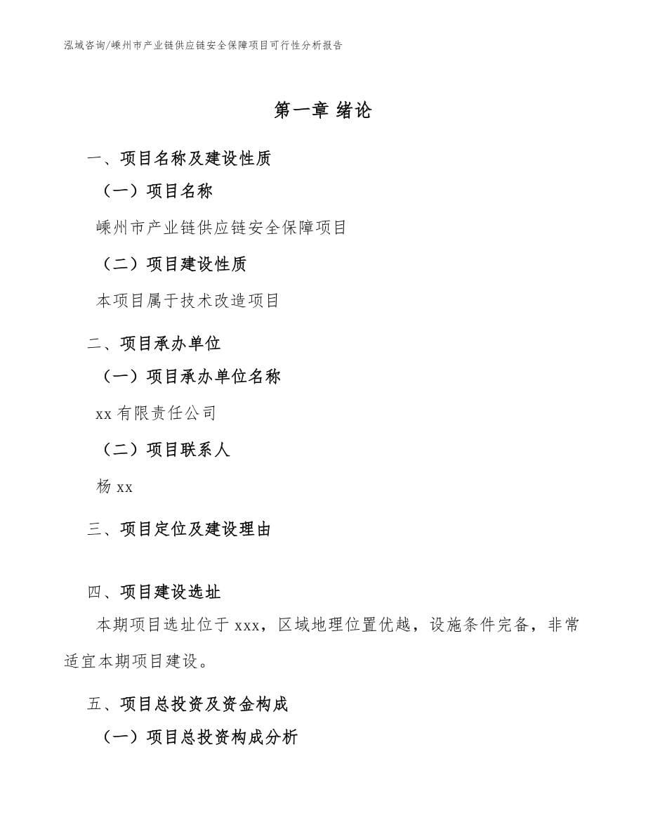 嵊州市产业链供应链安全保障项目可行性分析报告【模板】_第5页