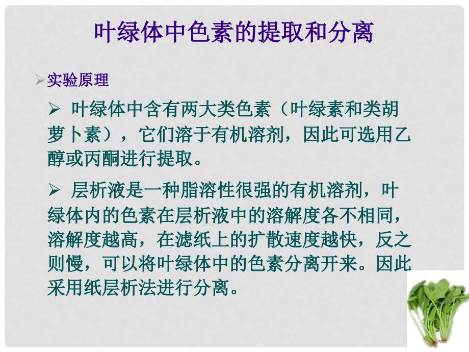 高考生物二轮复习 叶绿体中色素的提取和分离课件_第3页