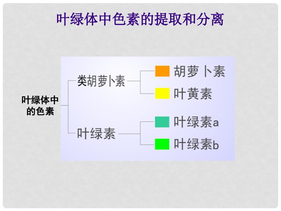 高考生物二轮复习 叶绿体中色素的提取和分离课件_第4页