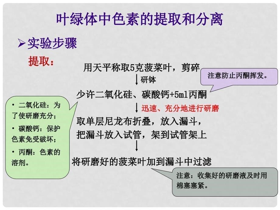 高考生物二轮复习 叶绿体中色素的提取和分离课件_第5页