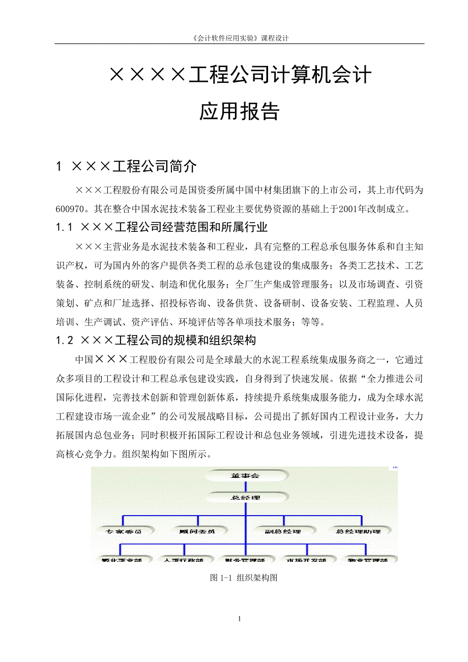 计算机会计应用报告_第1页