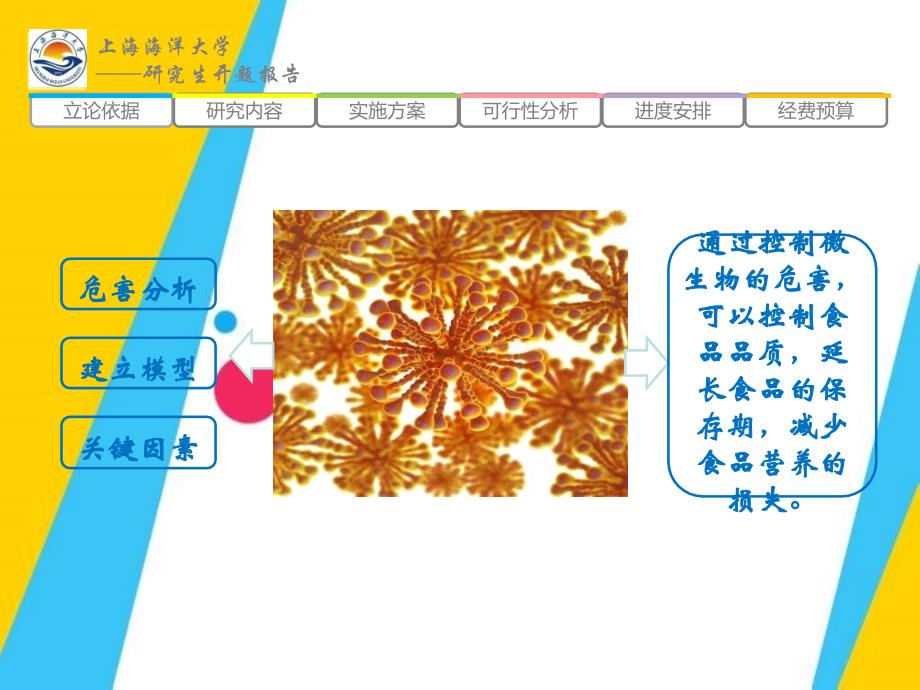 餐饮行业加工环节微生物危害分析及应对措施-开题报告.ppt_第3页