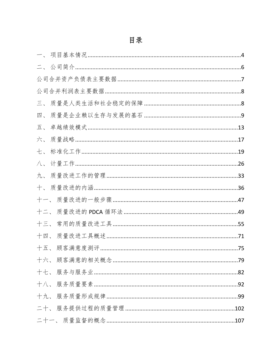 宽幅水性墨水公司质量管理规划_第2页