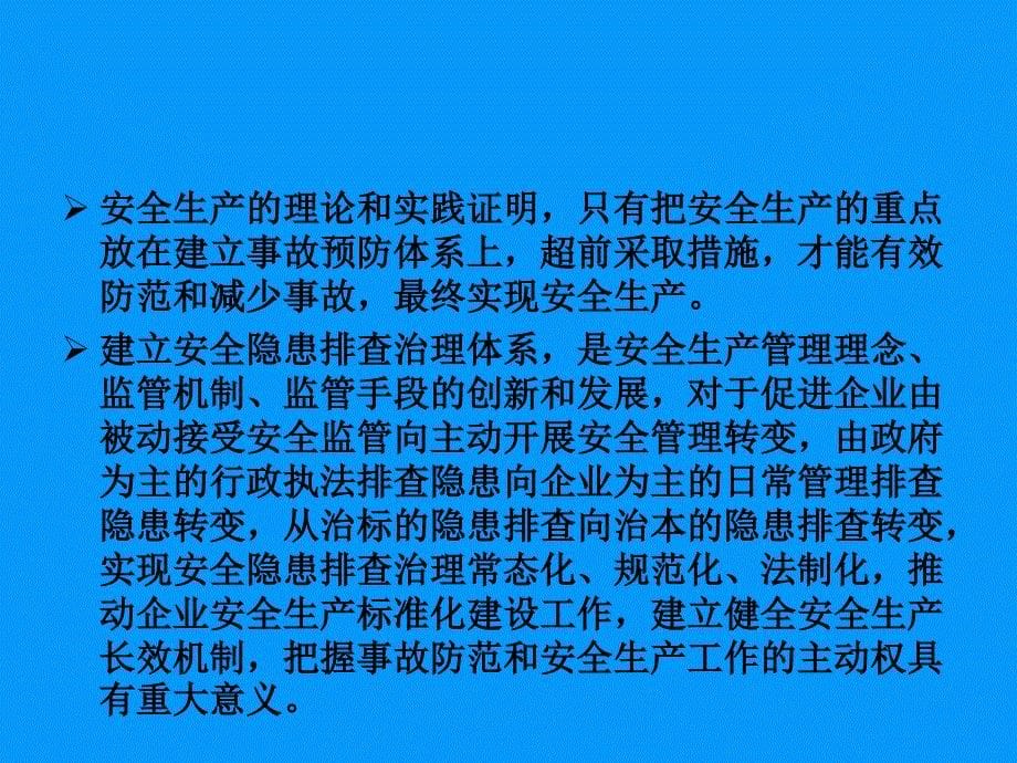 安全生产事故隐患排查治理体系建设解读_第5页