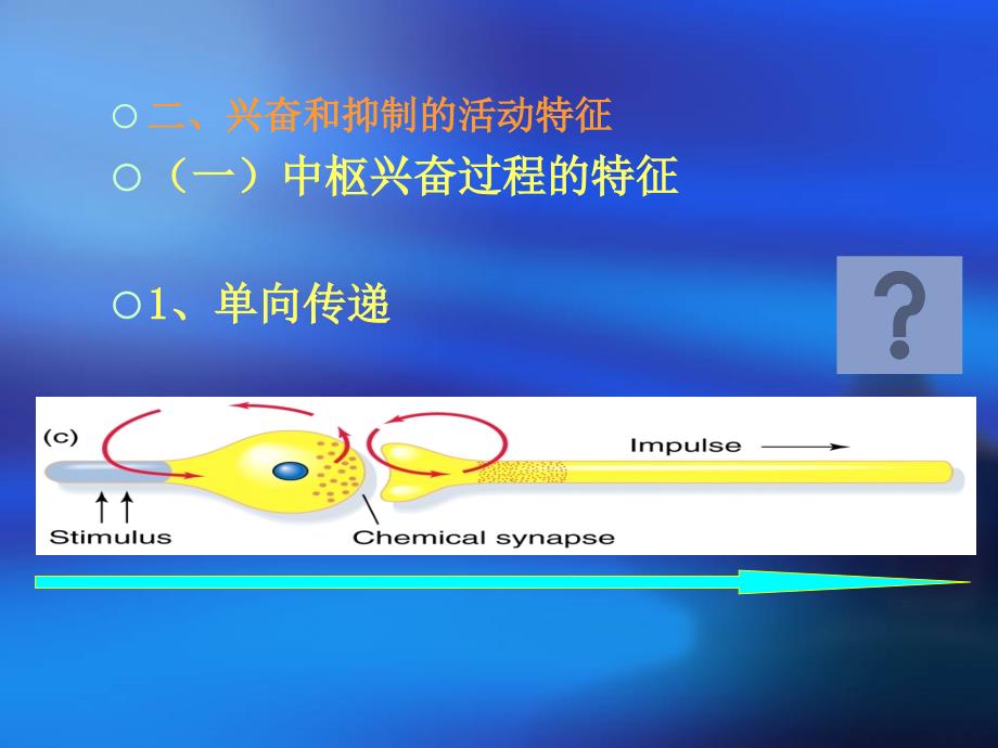 犬的行为原理第三章末_第3页