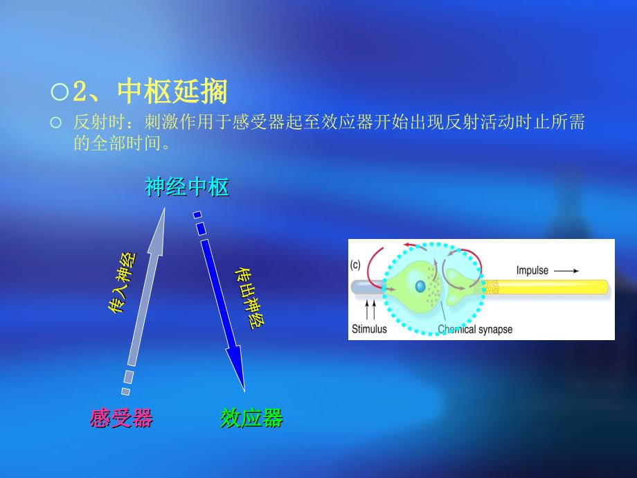 犬的行为原理第三章末_第4页