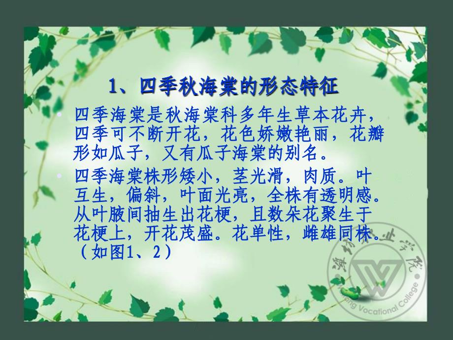 盆栽观花花卉栽培_第4页