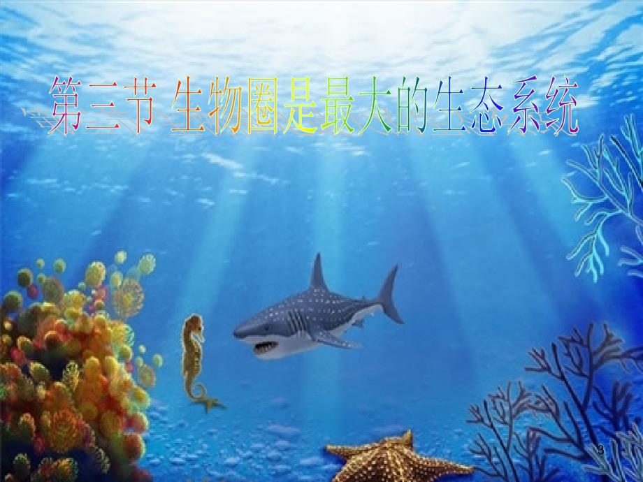 生物圈是最大的生态系统ppt课件_第3页