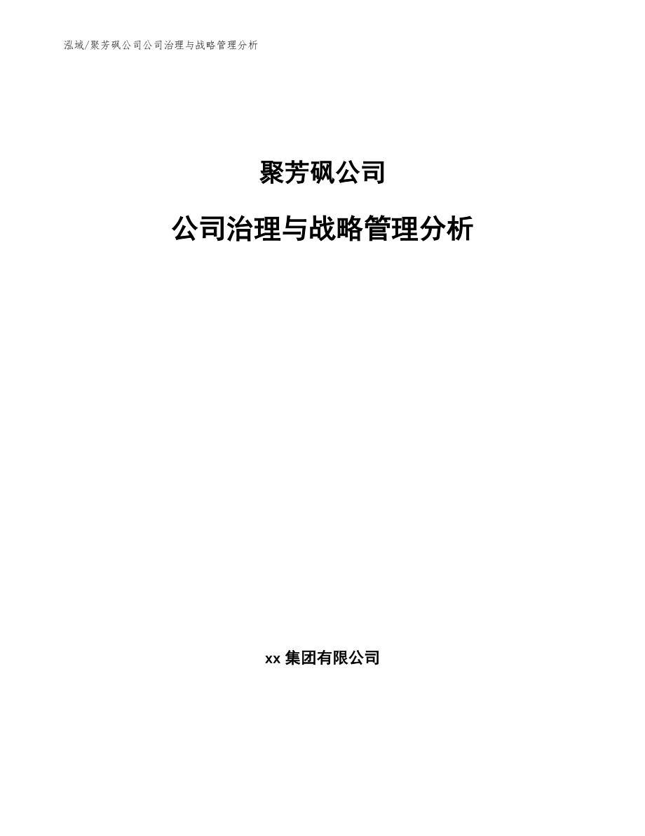 聚芳砜公司公司治理与战略管理分析【参考】_第1页