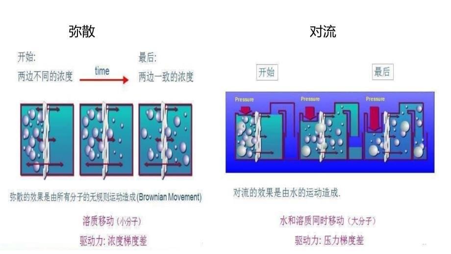 血液透析简介_第5页