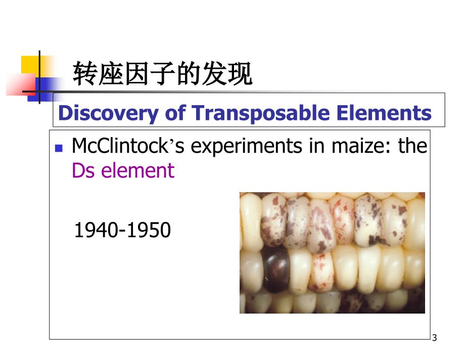 教学课件：第11章转座子和逆转座子_第3页