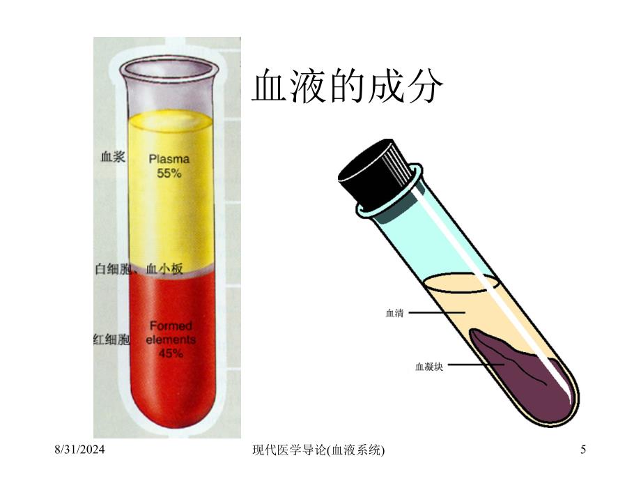 现代医学导论血液系统课件_第4页