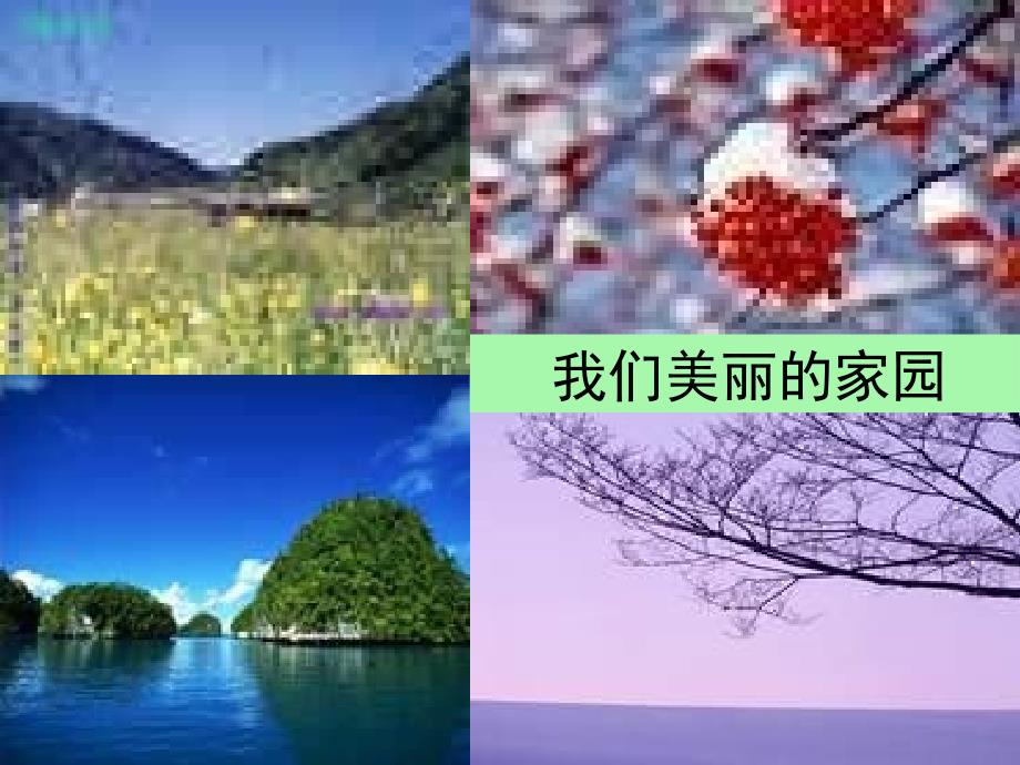 湘教版思品九年我国的可持续发展战略pt课件之二_第4页