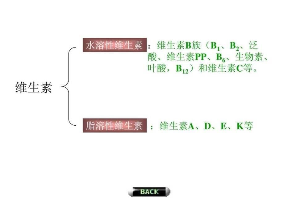 042维生素和辅酶.ppt_第5页