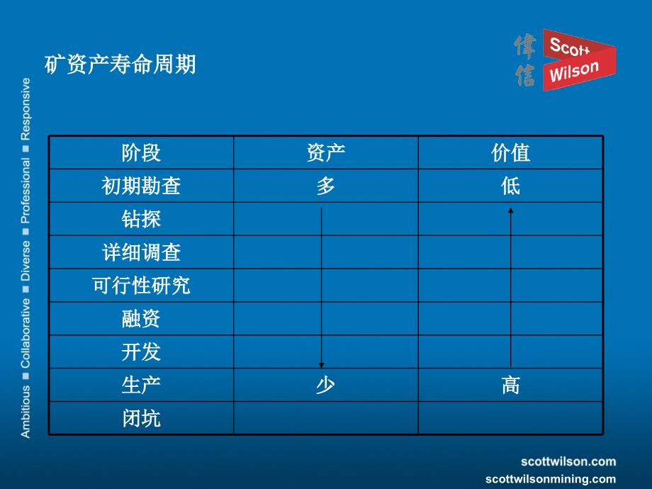 伟信矿业集RPA公司_第4页