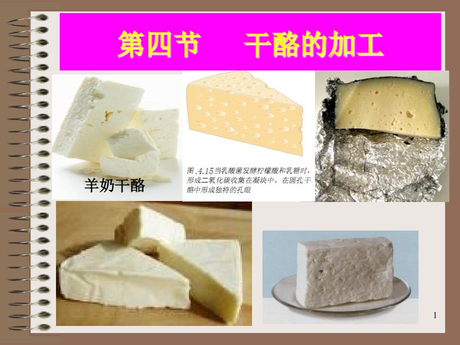 第八章发酵乳制品——奶酪_第1页