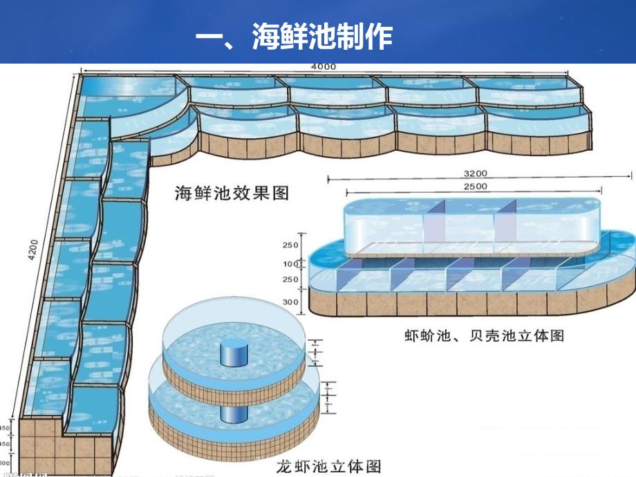 海鲜池制作与海鲜做法课件_第3页