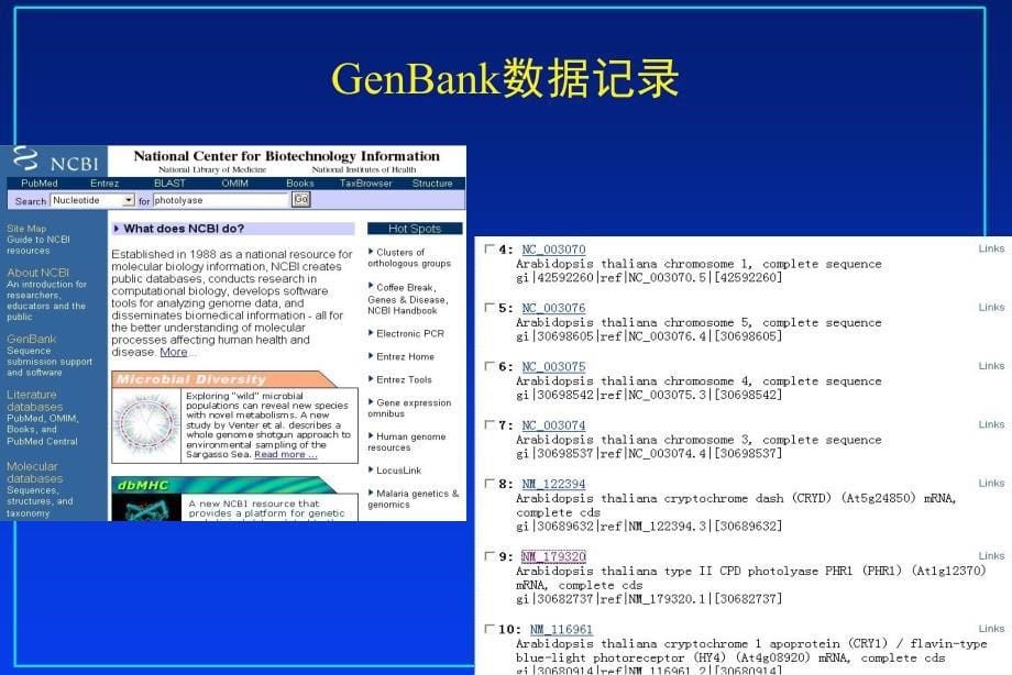 生物信息数据库：2序列注释格式课件_第5页