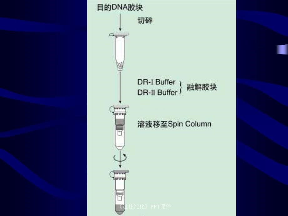 过柱纯化课件_第5页